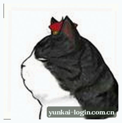 王磊